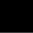 IBM SCSI ADAPTER OPTION