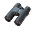 Pentax 10 x 36 DCF HS