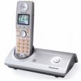 PANASONIC KX-TG8100FXT
