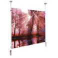 MediaVision Magic Daylight Screen 50col. including Hanging System with weights  including Softcase