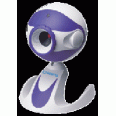 Chicony PC Camera DC-2110